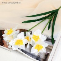 Цветы искусственные "Нарцисс" белый: 