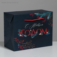 Пакет-коробка «Новогодние сумерки», 23 × 18 × 11 см: 