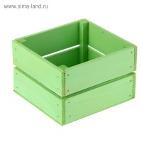 Ящик реечный № 5 зеленый, 11 х 12 х 9 см: 