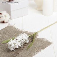 Искусственный цветок "Карликовое соцветие имбиря" белый 33 см: 