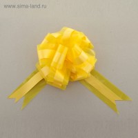 Бант-шар №7 "Совершенство", цвет жёлтый: Поставляется в разобранном виде
Диаметр банта 20 см
Ширина ленты 7 см