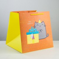 Пакет квадратный «Котик и тортик», 30 × 30 × 30 см: 