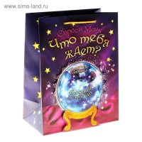 Пакет ламинированный с открыткой «Магический шар», 29 × 37 см 6 штук: 