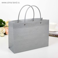 Пакет пластиковый, серый, 23 х 9 х 16 см: 
