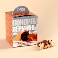 Печенье-эскимо «Покоряй вершины» в коробке, вкус: какао, 100 г.: Цвет: Минимальная партия
1
