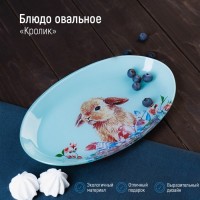 Блюдо стеклянное овальное Доляна «Кролик», овальное, 24,5?15 см: Цвет: Блюдо Доляна предназначено для красивой сервировки различных блюд. Оно сочетает в себе лаконичный дизайн с максимальной функциональностью. Оригинальность оформления придется по вкусу и ценителям классики, и тем, кто предпочитает утонченность и изящность. Изделие отличает высокое качество исполнения: при бережном использовании посуда прослужит долгие годы.
: Доляна
: Китай
