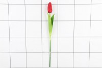 ЦВЕТЫ искусственные Тюльпаны шт 40 см №25 ТОЛЬКО 10: 