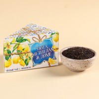 Чай чёрный в коробке-тортике «Уюта и тепла в доме», вкус: лимон, 50 г.: Цвет: Минимальная партия
1