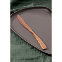 Нож столовый из нержавеющей стали Magistro «Эми», длина 22,5 см, на подвесе, цвет бронзовый: 