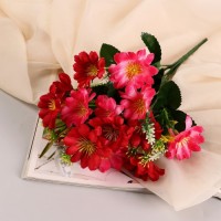 Букет "Астра бельгийская" 14 цветков, d-5 см h-30  см, микс: 