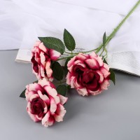 Цветы искусственные "Роза Палома" d-8 см 53 см, тёмно-сиреневый: 