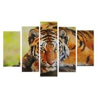 Картина модульная на подрамнике "Таинственность тигра" 2-25*52,2-25*66,1-25*8, 80*140 см: 