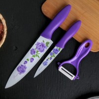 Набор кухонный Доляна «Нарцисс», 3 предмета: 2 ножа с антиналипающим покрытием, лезвие 12 см, овощечистка, 20?4 см, цвет фиолетовый: 