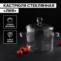 Кастрюля из жаропрочного стекла Magistro «Лия», 1,450 л, 16,5?16 см: Цвет: Кастрюля из жаропрочного стекла — качественная посуда на долгие годы.</p><b>Достоинства</b></p><ul><li>Прочный термостойкий корпус.</li><li>Удобная крышка.</li><li>Пригодность для посудомоечной машины.</li><li>Возможность контролировать процесс приготовления через прозрачные стенки.</li><li>Ручки не нагреваются.</li></ul>Благодаря привлекательному дизайну предмет впишется в интерьер.</p><b>Правила использования</b></p><ul><li>не вливайте холодную жидкость в нагретую кастрюлю;</li><li>перед использованием на плите насухо протирайте посуду снаружи;</li><li>промазывайте внутреннюю поверхность маслом;</li><li>мойте вручную.</li></ul>Ёмкость пригодна для использования на стеклокерамических плитах, а также в духовых шкафах. Материал экологичен, поэтому изделие подойдёт для долговременного хранения продуктов.</p>
: Magistro
: Китай
