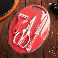 Набор кухонный, 4 предмета: нож, ножницы с антиналипающим покрытием, овощечистка, доска, цвет красный: 