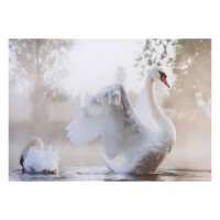Картина "Лебеди" 50*70 см: 