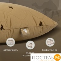 Подушка GOLDEN CAMEL Шерсть верблюжья/тик 40x60 2015, Средняя: https://xn--e1amhdlg6e.xn--p1ai/detskaja-podushka-goldtex-srednjaja-golden-camel-rossija-hlopkovyjj-tik-40h60-silikonizirovannoe-voloknoverbljuzhijj-puh-srednjaja4380.html