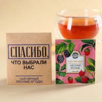 Чайный пакетик в крафт-конверте «Спасибо», вкус: лесные ягоды, 1,8 г.: Цвет: Минимальная партия
1