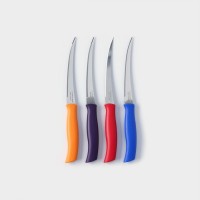 Набор кухонных ножей TRAMONTINA Athus, 4 предмета: Цвет: Tramontina Athus - небольшой нож с пилообразной режущей кромкой. Он идеально подходит для мягких фруктов и овощей. Этот нож верой и правдой может вам прослужить много лет.</p>
: Tramontina
: Бразилия
