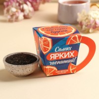 Чай чёрный в коробке-кружке «Самых ярких чаепитий», вкус: апельсин, 50 г.: Цвет: Минимальная партия
1
