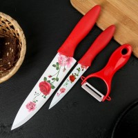 Набор кухонных принадлежностей Доляна «Нарцисс», 3 предмета: 2 ножа с антиналипающим покрытием, лезвие 12 см, овощечистка, 20?4 см, цвет красный: 