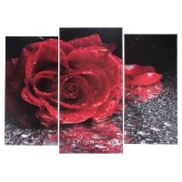 Модульная картина "Роза под дождём"  (2-25х52; 1-30х60) 60х80 см: 