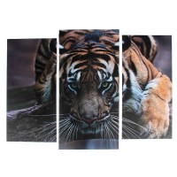 Модульная картина "Тигровый взгляд"  (2-25х52; 1-30х60) 60х80 см: 