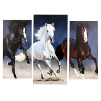 Модульная картина "Три резвых коня" (2-25х50, 30х60см) 60х80 см: 