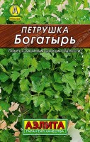 Петрушка листовая Богатырь 2г: Продуктивный листовой среднеспелый сорт. От всходов до первой массовой срезки 60-80 дней. Розетка высотой 40-60 см. Лист ароматный, с крупными долями. Темпы нарастания зелени после срезки высокие. Сорт отличается теневыносливостью. Урожайность зеленой массы более 3 кг/м2.