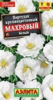 Портулак махровый белый , г: Красивый сорт популярного летника для солнечных участков с сухими, небогатыми почвами. Быстро разрастается, образуя плотные заросли высотой 10 см из мясистых побегов с мелкими листьями. Цветки ? 5 см с шелковистым блеском открыты даже в пасмурную погоду. Сорт устойчив к болезням и вредителям. Используется в ковровых цветниках, рокариях, бордюрах. Подходит для контейнеров на солнечных балконах и террасах.