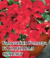 Карнавал Скарлет Уоллера F1 бальзамин 5шт (г): Цвет: http://sibsortsemena.ru/catalog/01_semena/semena_tsvetnye_pakety/tsvety/komnatnye_rasteniya/balzamin_1/karnaval_skarlet_uollera_f1_balzamin_5sht_g/
Внимание ! Цена действительна только при покупке ряда 10шт. При штучном выкупе наценка потавщика 50 %