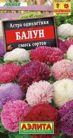 Астра Балун, смесь сортов 5 шт: Смесь ярких «воздушных шариков». По степени махровости астра Балун (Balloon) европейской селекции от компании Satimex превосходит все махровые астры! Шаровидные соцветия, ? 12-15 см, устойчивы к дождю и ветру. На одном крепком пирамидальном кусте, высотой 50-60 см, формируется 6-МММук прочных побегов. Растение украсит клумбы в саду. Прекрасно подходит для срезки! Стоит в воде после срезки до 2 недель!