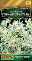 Молочай Горный хрусталь 20шт: Один из самых эффектных и элегантных сортов молочая. Образует прямостоячие ветвистые кустики до 120 см в высоту. Во время цветения края верхних листьев белеют, что придает растениям неповторимый вид. Декоративен в течение всего сезона. Шикарно смотрится в саду и в контейнерной культуре. Сок молочаев может вызвать раздражение на коже, поэтому работы с ними желательно проводить в перчатках.