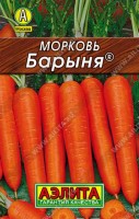 Морковь Барыня 2г: Раннеспелый сорт, от всходов до уборки 90-95 дней. Корнеплоды ровные, гладкие (сортотип Берликум/Нантская), длиной 20-25 см и массой 90-170 г. Вкусовые качества превосходные, содержание каротина высокое. Урожайность 6-7 кг/м2.