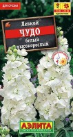 Левкой высокорослый Чудо белый ,1г: Великолепный сорт с эффектными соцветиями и неповторимым ароматом. Относится к садовой группе Эксельсиор. Растения одностебельные, слабоветвящиеся, высотой 60-70 см. Цветки частично махровые, ? 3-4 см, собраны в плотные кисти на крепких стеб лях. Из-за особенностей семеноводства левкоя могут присутствовать растения с немахровыми цветками. Сорт используется на срезку и для оформления цветников. Срезка сохраняет свежесть до 10 дней.