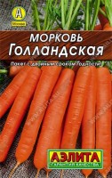 Морковь Голландская 2г: Среднеранний сорт (период от полных всходов до технической спелости 70-100 дней). Корнеплоды цилиндрические, тупоконечные, выравненные, длиной 18-20 см, с очень нежной и сочной мякотью, отменного вкуса. Генетически устойчив к цветушности. Выращенную продукцию используют в свежем виде и для переработки.