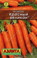 Морковь Красный великан 2г: Суперурожайный (10-12 кг/м2) среднеспелый сорт. От всходов до уборки 100-120 дней. Корнеплоды длиной до 25 см и массой 200-220 г. Сортотип Флакке. Мякоть отличного вкуса, сладкая и сочная. Сорт устойчив к цветушности и растрескиванию корнеплодов. Хранится до нового урожая. Идеален для подзимнего посева.