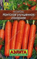 Морковь Нантская улучшенная сахарная 2г: Перспективный, среднеспелый сорт (период от полных всходов до технической спелости 100-110 дней). Корнеплоды цилиндрические, выравненные, длиной 15-18 см, массой до 100-150 г, ярко-оранжевые, с нежной, сочной мякотью и небольшой сердцевиной. Отменный вкус, повышенное содержание сахаров и каротина, сочетаются с длительным хранением без ухудшения качества вплоть до нового урожая. Сорт высокоурожайный, устойчивый к растрескиванию, цветушности и основным заболеваниям. Выращивается в различных климатических зонах.