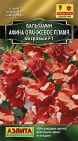 Бальзамин Афина F оранжевое пламя махровый 5 шт: Популярное комнатное растение которое все чаще выращивают как летник Компактная высота  см гибридная серия АФИНА отличается необычной пестрой окраской крупных   см махровых цветков и обильнейшим цветением Цветы не опадают длительное время Серия прекрасно подходит для сада и контейнерной культуры Посадки можно разместить даже в довольно густой полутени так как растения нетребовательны к освещению В таких условиях окраска цветков обычно бывает ярче чем на солнце Не рекомендуется сажать в ветреных местах