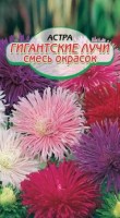 Гигантские лучи, смесь астра 0,2 гр (ссс): Цвет: http://sibsortsemena.ru/catalog/01_semena/semena_tsvetnye_pakety/tsvety/astry_1/gigantskie_luchi_smes_astra_0_2_gr_sss/
Внимание ! Цена действительна только при покупке ряда 10шт. При штучном выкупе наценка потавщика 50 %