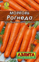 Морковь Рогнеда 2г: Отечественный среднеспелый сорт, устойчивый к засухе. Формирует урожай за 110-120 дней от всходов. Корнеплоды сортотипа Нантская, массой 90-100 г, с гладкой поверхностью и сочной, сладкой мякотью. Для свежего потребления и длительного зимнего хранения. Урожайность высокая, 6-9 кг/м2.