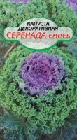 Серенада, смесь капуста декоративная 0,1г (ссс): Цвет: http://sibsortsemena.ru/catalog/01_semena/semena_tsvetnye_pakety/tsvety/kapusta_dekorativnaya/serenada_smes_kapusta_dekorativnaya_0_1g_sss/
Внимание ! Цена действительна только при покупке ряда 10шт. При штучном выкупе наценка потавщика 50 %