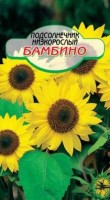 Бамбино подсолнечник 0,3гр (ссс): Цвет: http://sibsortsemena.ru/catalog/01_semena/semena_tsvetnye_pakety/tsvety/podsolnechnik_1/bambino_podsolnechnik_0_3gr_sss/
Внимание ! Цена действительна только при покупке ряда 10шт. При штучном выкупе наценка потавщика 50 %