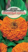 Оранжевый король циния 90см 0,3г (ссс): Цвет: http://sibsortsemena.ru/catalog/01_semena/semena_tsvetnye_pakety/tsvety/tsinniya/oranzhevyy_korol_tsiniya_90sm_0_3g_sss/
Внимание ! Цена действительна только при покупке ряда 10шт. При штучном выкупе наценка потавщика 50 %