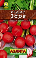 Редис Заря 2г: Популярный скороспелый сорт для получения ранней продукции в открытом и защищенном грунте Неприхотливый холодостойкий засухоустойчивый От всходов до уборки  дня Корнеплоды   см массой  г Мякоть белая сочная хрустящая отличного вкуса Урожайность  кгм