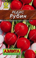 Редис Рубин 3г: Скороспелый сорт с дружной отдачей урожая. Рекомендуется для получения ранней продукции в открытом и защищенном грунте. Формирует стандартные корнеплоды за 18-25 дней от всходов. Корнеплоды массой 20-25 г, с белой, сочной мякотью слабо-острого вкуса. Урожайность высокая, 2,0-2,5 кг/м2.