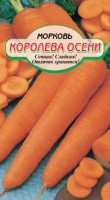 Королева осени 2г морковь Р (ссс): Цвет: http://sibsortsemena.ru/catalog/01_semena/semena_tsvetnye_pakety/morkov_1/morkov_2/koroleva_oseni_2g_morkov_r_sss/
Внимание ! Цена действительна только при покупке ряда 10шт. При штучном выкупе наценка потавщика 50 %