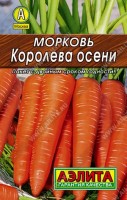 Морковь Королева осени 2г: Высокоурожайный (до 10 кг/м2) позднеспелый сорт. Период от всходов до технической спелости 120-130 дней. Корнеплоды сортотипа Флакке, массой 90-230 г, с высоким содержанием каротина. Сорт устойчив к стрелкованию и растрескиванию корнеплодов. Рекомендуется для свежего потребления, переработки и длительного зимнего хранения.