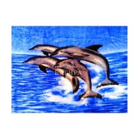 Покрывало "Велсофт ЭКОНОМ" Дельфины: Цвет: https://tk-bagira.ru/pokryvalo_velsoft_ekonom/62377
