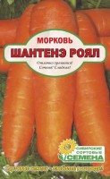Шантанэ Роял на ленте морковь 8м (ссс): Цвет: http://sibsortsemena.ru/catalog/01_semena/semena_tsvetnye_pakety/morkov_1/na_lente_morkov/shantane_royal_na_lente_morkov_8m_sss/
Вкусовые качества хорошие и отличные. Корнеплод короткий, конический со слегка заостренным кончиком, головка слегка выпуклая до ровной. Сердцевина и кора оранжевые. Рекомендуется для использования в свежем виде и длительного зимнего хранения. Среднеспелый. Масса корнеплода 110-200гр. Длина ленты 8 метров.